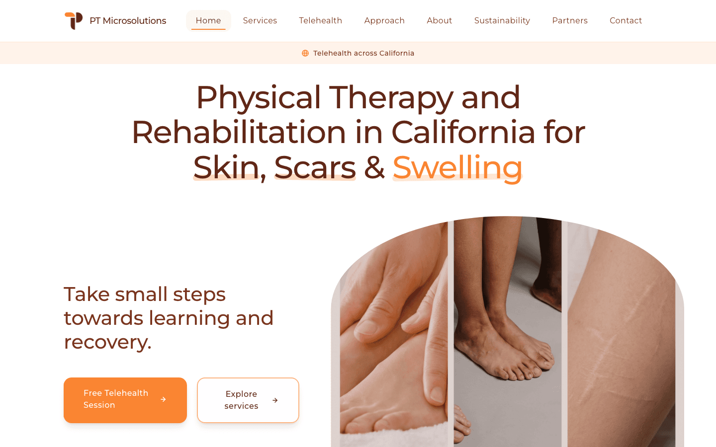 PT Microsolutions website